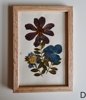 Pressed Flowers Wall Art 4x6