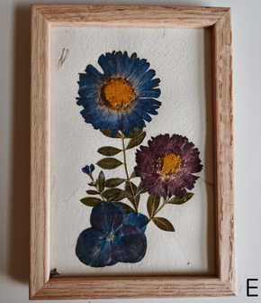 Pressed Flowers Wall Art 4x6