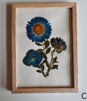 Pressed Flowers Wall Art 5x7