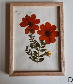 Pressed Flowers Wall Art 5x7