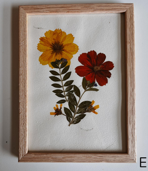 Pressed Flowers Wall Art 5x7