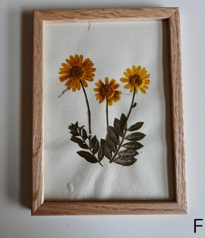 Pressed Flowers Wall Art 5x7