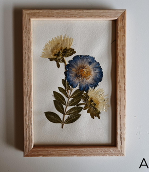 Pressed Flowers Wall Art 4x6