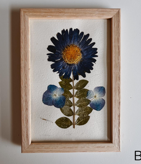 Pressed Flowers Wall Art 4x6