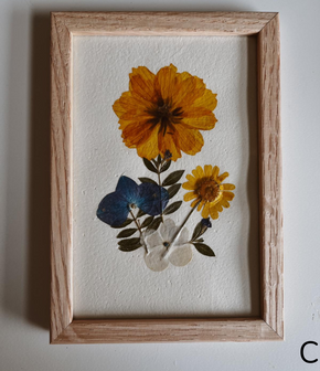 Pressed Flowers Wall Art 4x6